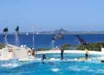 85day2_171011_0051